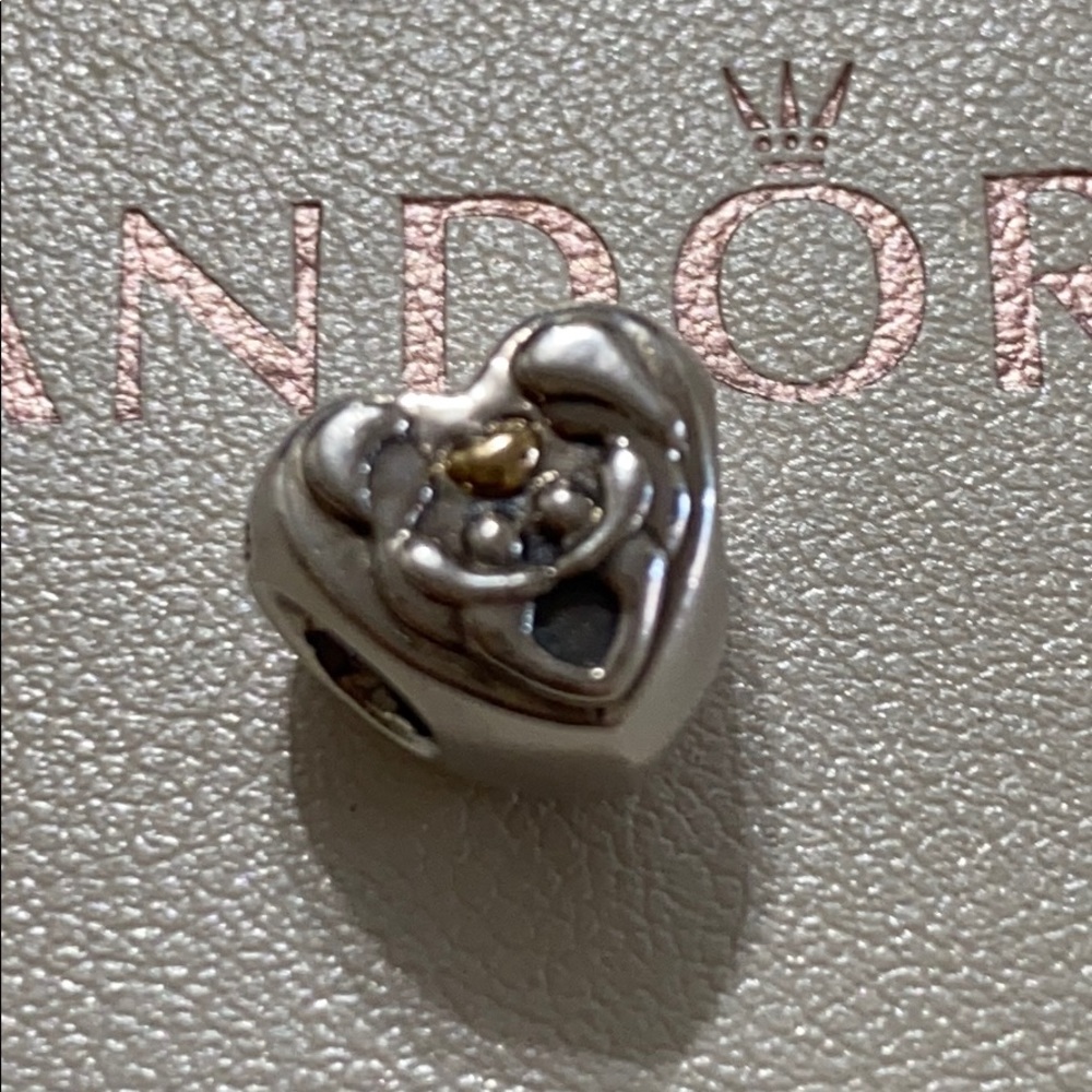 Pandora Authentic charm Heart of the Family